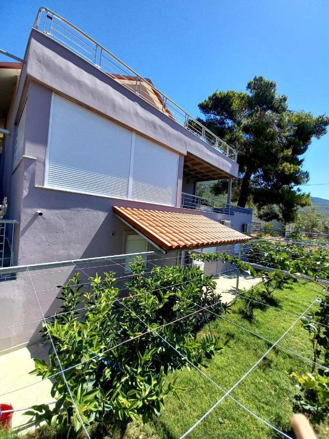 Guesthouse Eirini Porto Germeno 외부 사진